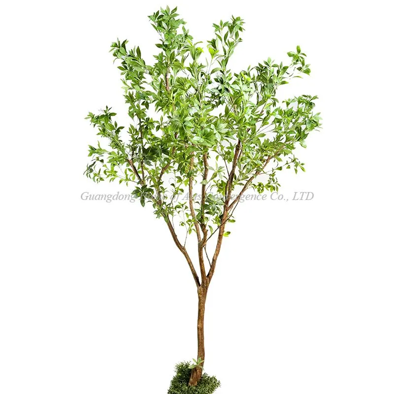 8ft Fake Pieris Tsob Ntoo