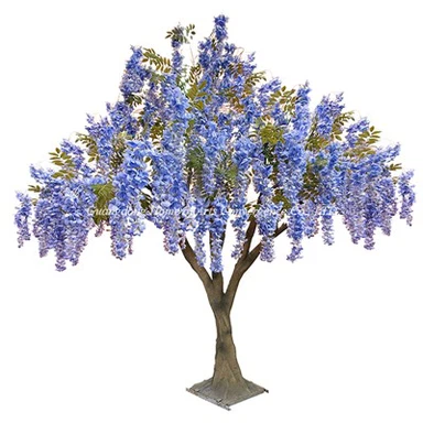 Cov ntoo loj dua Wisteria Wisteria