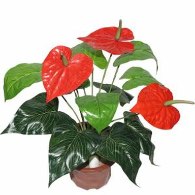 Artificial Anthurium cog