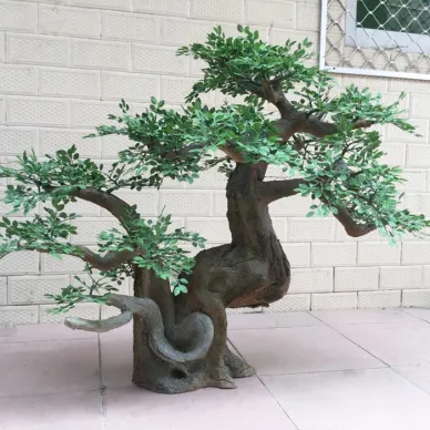 Ib puag ncig phooj ywg Bonsai Nyob Hauv Tsev Pine Tsob Ntoo