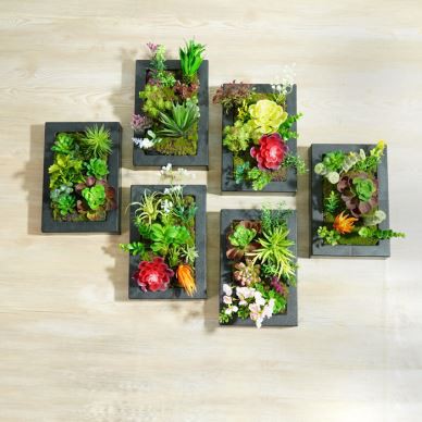 Fake Cog Succulent