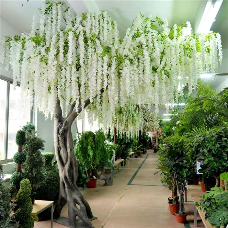 White wisteria flowers left(002)