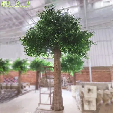 Ntev Kav ntev Haux Faux Ficus Ntoo Sab Nraum Zoov